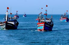 Mille drapeaux nationaux offerts aux pêcheurs de Ly Son