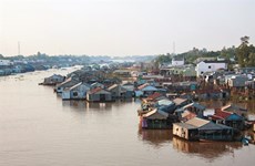 Le village piscicole en radeaux de Châu Dôc