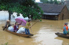 APEC 2017: bientôt la 11e conférence des hauts officiels sur la gestion des catastrophes naturelles 