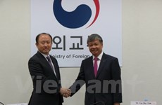 Développement heureux des relations Vietnam - R. de Corée 