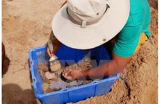 30.000 reliques découvertes dans le tertre Go Cây Me à Binh Dinh