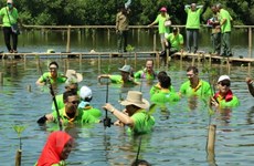 La Journée de la mangrove  de l’ASEAN