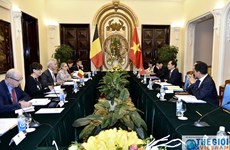 Consultation politique Vietnam-Belgique 