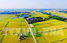 Coopération agricole entre la Belgique et le Vietnam