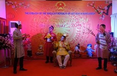 La communauté des Vietnamiens à l’étranger salue le Nouvel an lunaire 2018