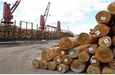 Doper les exportations du bois en 2018