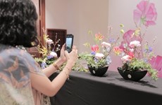L'art floral japonais se dévoile à Hanoi