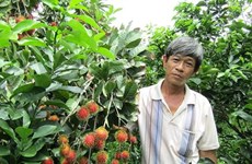 Le ramboutan vietnamien obtient son visa pour la Nouvelle-Zélande