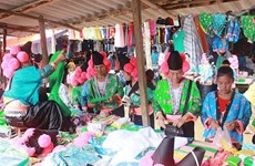 Les cultures des ethnies minoritaires de la province de Son La présentées à Hanoï