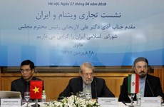 Forum d’affaires Vietnam-Iran à Hanoï