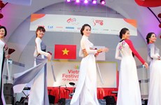 Le Vietnam Festival 2018 au Japon aura lieu en mai