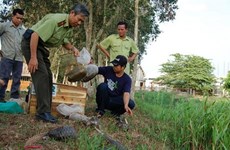 Des mesures pour préserver la biodiversité du parc national d’U Minh Thuong