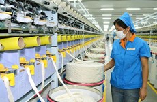 Fibres textiles: 3,9 milliards de dollars d’exportation attendus en 2018
