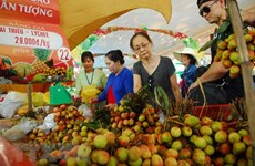 Le Festival des fruits du Nam Bô  2018 prévu en juin