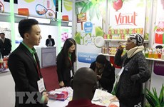 Colloque  ''Faire des affaires avec le Vietnam'' à Johannesburg