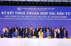Can Tho signent des accords de coopération avec Vietnam Airlines et VietJet Air