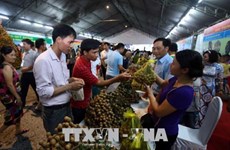Ouverture de la Fête des longanes de Hung Yên 2018