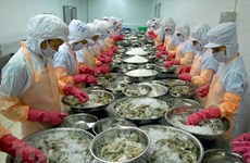 Assurer la qualité des crevettes exportées vers la R. de Corée