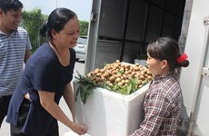 Hanoï exporte 19 tonnes de longanes aux Etats-Unis et en Europe