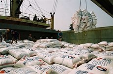 Belles perspectives pour les exportations nationales de riz d'ici la fin de l’année 