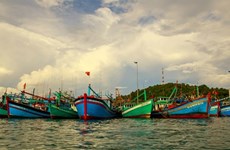 Kiên Giang s’efforcent de lutter contre la pêche INN