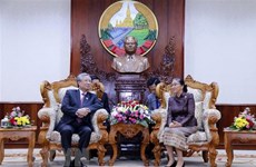 Promotion des relations spéciales Vietnam - Laos