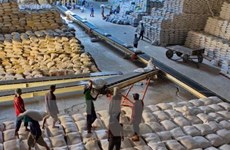 Les exportations du riz vont prospérer au quatrième trimestre de 2018