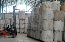 Les exportations thaïlandaises de riz devraient atteindre plus de 11 millions de tonnes cette année