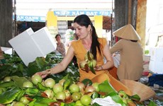 Exportation de pommes de lait Lo Ren de Tiên Giang vers les États-Unis