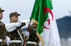 Félicitations à l’Algérie pour l’anniversaire du déclenchement de la Révolution de Novembre