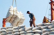 Le Vietnam cherche à élaborer un label pour son riz 