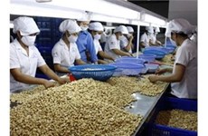 La noix de cajou vietnamienne cherche à conquérir les marchés américain et européen