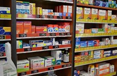 Des distributeurs pharmaceutiques tchèques sondent le marché vietnamien