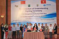 Vietnam-Chine : coopération dans la protection des animaux sauvages 