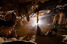 Découverte d'une nouvelle caverne à Phong Nha-Ke Bang