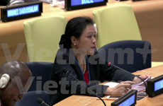 Le Vietnam soutient une application de la loi conforme aux principes de la Charte de l'ONU