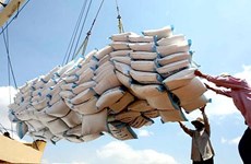 L’Indonésie décide d’importer du riz vietnamien