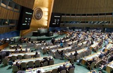Le Vietnam salue la résolution de l’ONU appelant la levée de l'embargo contre Cuba