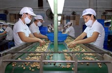 L’UE est prête à aider les entreprises vietnamiennes 