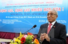 Célébration des 40 ans des relations diplomatiques Vietnam-Angola