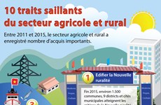 [Infographie] 10 traits saillants du secteur agricole
