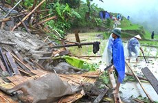 Le Vietnam classé au 7e rang en termes de dégâts dus au changement climatique
