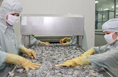 Reprise des exportations de crevettes vers la Chine