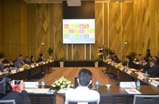 Coopération dans l’énergie pour le développement durable en Asie