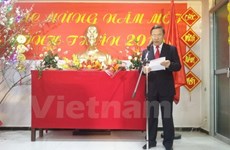 Les Vietnamiens en Thaïlande et en Algérie accueillent le Têt du Singe