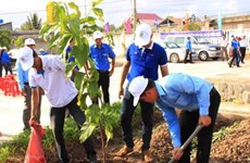 Hanoi lance la Fête de la plantation d'arbres 2016