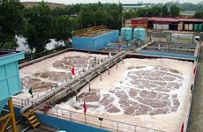 La JICA aide Dà Nang à améliorer ses systèmes de traitement des eaux usées