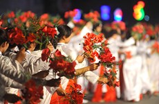 Préparation du 5e Festival des flamboyants rouges de Hai Phong 2016