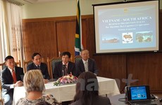 Vietnam-Afrique du Sud renforcent leur coopération dans le transport maritime