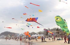 Un premier festival international de cerfs-volants au Nord
